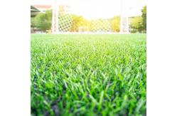 China 2*25m PP Natural Artificial Grass 12000 Dtex Multi Sports Turf supplier
