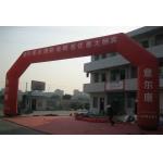 inflatatable archway / entrance arch / advertising arch for grand opening for sale