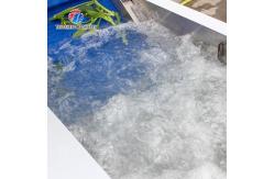 China 380V 240KG Diffusion Injection Fruit And Vegetable Washing Machine Easy To Operate supplier