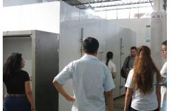 China Customized Walk In Climate Chamber Temperature Humidity Test Chamber with Warning System supplier