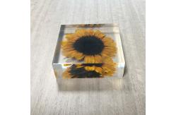 China Custom Sunflower Paperweight Acrylic Globe Paperweight supplier