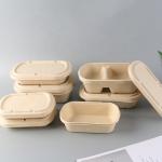 Leak Proof Sugarcane Fiber Pulp Disposable Food Container Biodegradable for sale