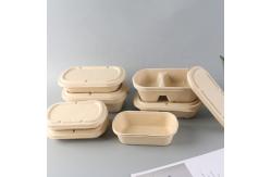 China Bagasse Fiber Biodegradable Containers With Lids For Takeout Parties supplier