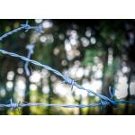 Garden Anti-Theft Double Strand Traditional Twist Galvanized Barbed Wire Coils for sale