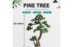 China Dorm Room Decorative Artificial Potted Pine Tree 280cm Height supplier