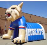 Inflatable Helmet Tunnel / inflatable football tunnel Cat tunnel for sale