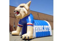 China Inflatable Helmet Tunnel / inflatable football tunnel Cat tunnel supplier