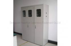 China Anti Acid 2 Gas Bottle Storage Cabinet With Automatic Monitoring Function supplier