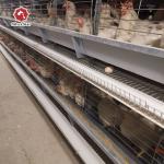 Hot Galvanized Long Lifespan Layer Battery Cages For Farm for sale