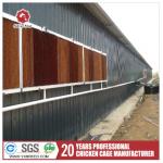 H Shaped Small Stacked Layer Chicken Cage Can Be Customized