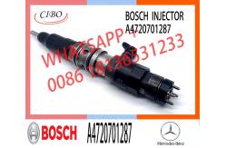 China Diesel Fuel Injector 0986435646 0986435649 A4720701087 A4720701287 With More Models supplier