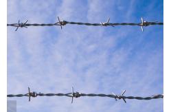China Rust resistance Double strand reverse twist Hot Dipped Galvanized Barbed Wire Roll supplier