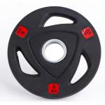 China Rubber Coated Weight Plate Set of 2 for Fitness and Exercise Equipment for sale