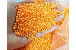 China Pressure Resistant Expanded Polypropylene EPP Foam Raw Material 10g/L supplier