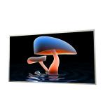 27.0 Inch BOE Industrial LCD Panel Display Medical Image Display Screen HR270WU1-200 for sale