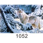 0.6mm Thickness 3D Lenticular Images  ,  Advertising Poster 3D Wolf Picture for sale
