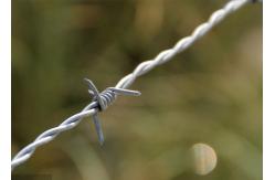 China Use Of Prison Walls Anti Climb Galvanized Barbed Wire Roll supplier