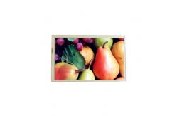 China 800*480 TX18D40VM1CAA Industrial LCD screen supplier