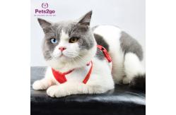 China Pets2Go Mesh Lining 100g Retractable Pet Leash supplier