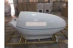 China Ozone Spa Capsule Slimming Machine Far Infrared Sauna Capsule / Ozone sauna Spa Slim supplier