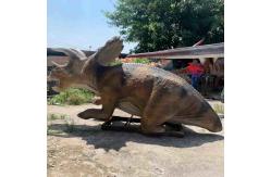 China Jurassic World Dinosaur Theme Exhibitions Realistic Animatronic Dinosaur Triceratops Model supplier