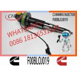 4955524 F00BL0J019 Common Rail Fuel Injector For QSK19 QSK60 Engine