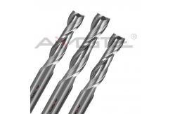 China Uncoated Two Flute End Mill 0.6μm Long Flute End Mill Customized supplier