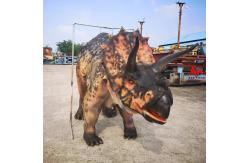 China Custom Realistic Adult Triceratops Dinosaur Costume For Two Performers supplier