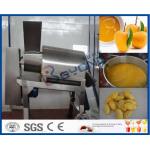 Stainless Steel Mango Processing Plant With Double Stage Pulper 5T Per Hour for sale