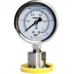 YNTP-60BF Stainless Steel Pressure Gauge for sale