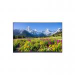 11.6-inch 300 nits Brightness eDP Interface TFT-LCD Panel with 1920x1080 Resolution and 72% Color Gamut for sale