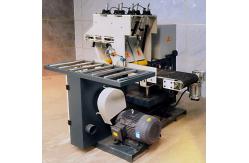 China Heavy Duty Multi Head Horizontal Bandsaw Resaw With High Precision supplier