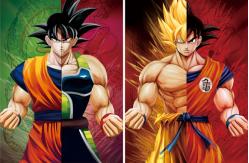 China CMYK 30x40cm DBZ Lenticular Pictures For Promotion supplier