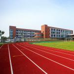 Fadeless PU Outdoor Sports Surfaces High Elasticity Silicon Mat for sale
