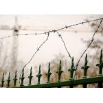 Rust Resistance 1.8mm  Double Strand Reverse Twist Electro Barbed Wire Roll for sale
