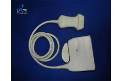 China High Frequency Linear Array 38mm Ultrasound Transducer Probe  L9-3 supplier