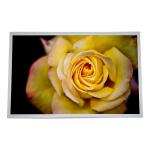HSD170MGW1-C00 17.0 Inch LCD Screen Panel For Desktop Monitor for sale