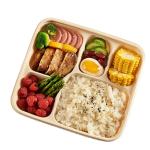 Custom PLA Disposable Divided Container 3 / 4 / 5 / 6 Compartment for sale