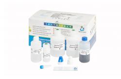 China SCD Sperm DNA Test Kit For Determination DNA Fragmentation Level In Spermatozoa supplier