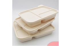 China Eco Friendly PLA Polylactic Acid Sheet For Meal Box Packaging supplier