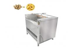 China Potato Processing Machinery HDF1000 Professional Fresh Ginger Peeling Machine supplier