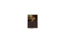 China LX059A1BB03 5.9 inch lcd screen panel for Mobile Phone supplier