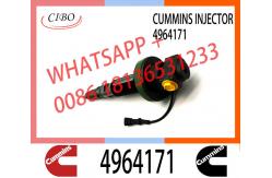China 4964171 QSK19 Diesel Engine Common Rail Fuel Injector Y431K055582867149 2867147 4964171 supplier