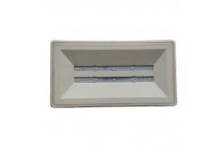 China IP65 220V Maintained Waterproof Emergency Light supplier