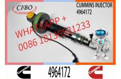 China Fuel Injector Assembly Y431K05417 F00L0J019 4964172 2867147 2882077 For Qsk19 Engine supplier