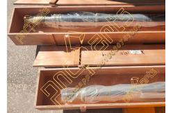 China ZX120 Piston Rod 0789603 Hitachi Bucket Cylinder ZX200-3 Arm Cylinder 0789503 supplier