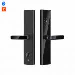 Tempered Glass Electronic Door Locks Wifi Fingerprint Password Lock For Bedroom Door for sale