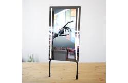 China 43 Inch 10 Points Interactive Home Gym Mirror 700cd/M2 Brightness supplier