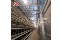 China 108 chickens High Brood Survival Rate Broiler Cage System For Little Chick supplier