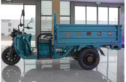 China New Model Electro Tricycle 3 Wheel Motorized Popular Adults Cargo supplier